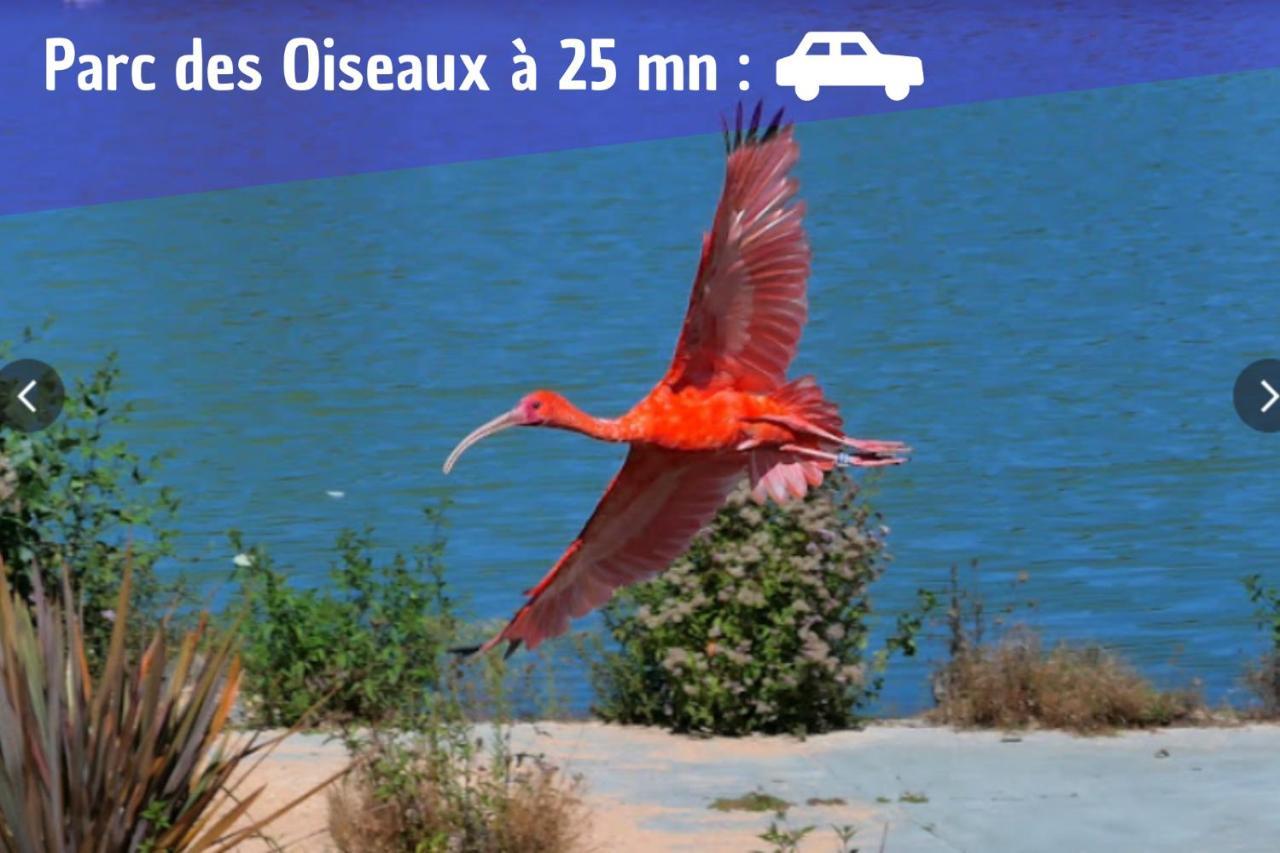 L'Emeraude - 1 A 4P - Wifi Fibre - Parking Gratuit Pont-d'Ain Luaran gambar